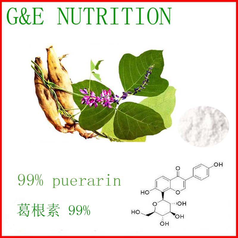 纯天然葛根提取物 葛根素99% 质量保证 厂家供应