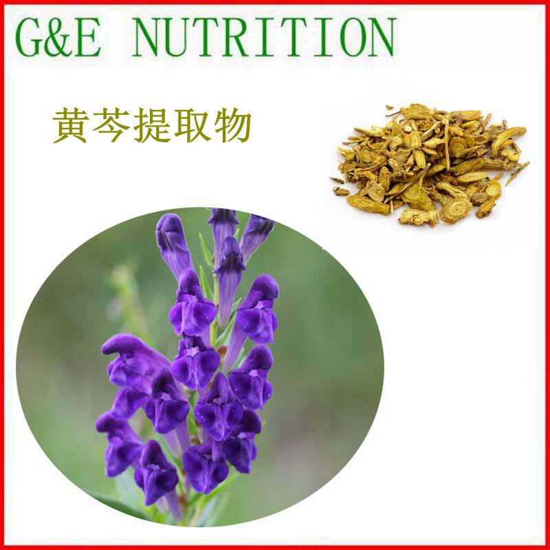 500g 黄芩根提取物10:1 专业植提源头厂家包邮 黄芩粉