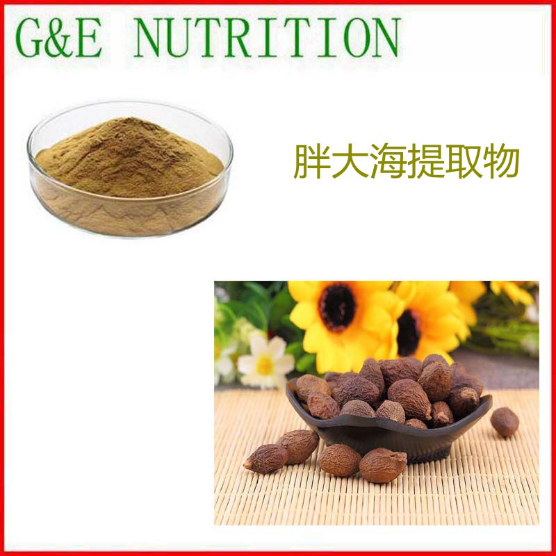 500g 纯天然 胖大海提取物 10:1 胖大海浓缩粉 包邮 量大优惠