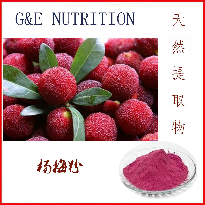 500g 天然杨梅浓缩粉 100% 杨梅粉 包邮 量大优惠