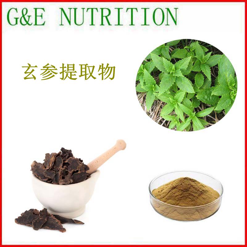 500g 纯天然 玄参提取物粉 10:1 厂家直销 玄参根提取物 包邮