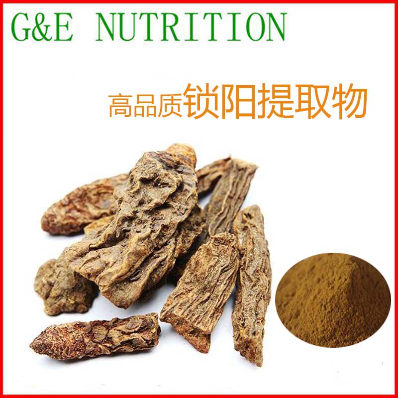 优质锁阳提取物 锁阳粉500g 现货包邮 天然提取 工厂直销 10:1