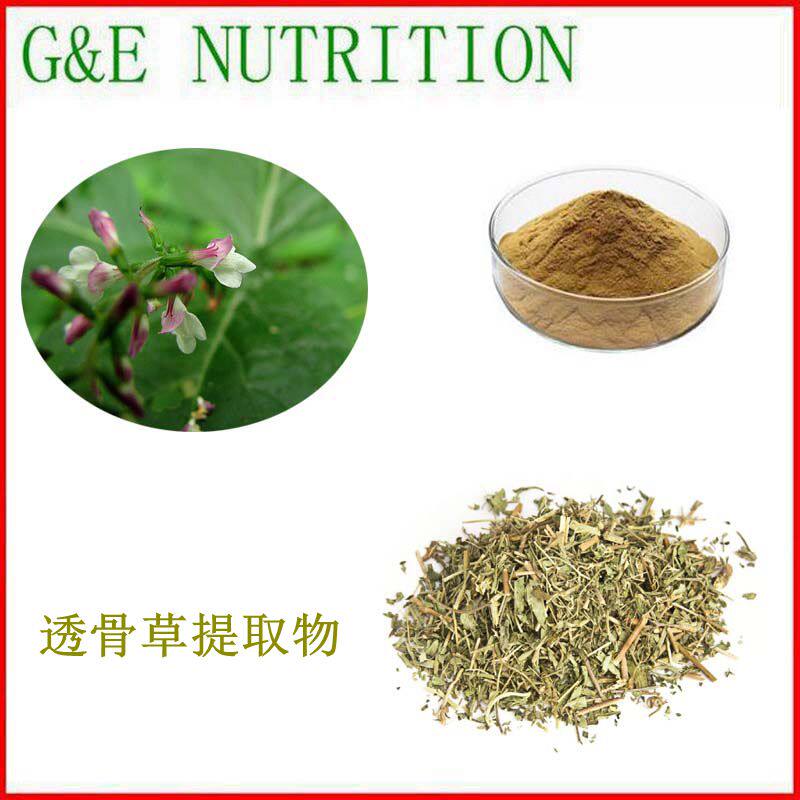 500g 高含量黄芪提取物 黄芪甲苷5% 科研品质 量大优惠