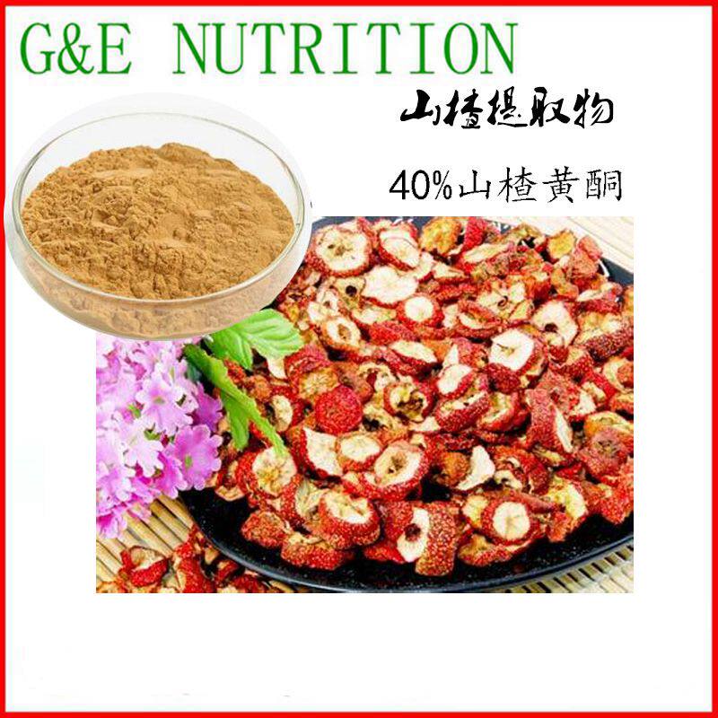 新鲜山楂提取物 10:1 山楂粉 500g 厂家直销包邮  量大从优