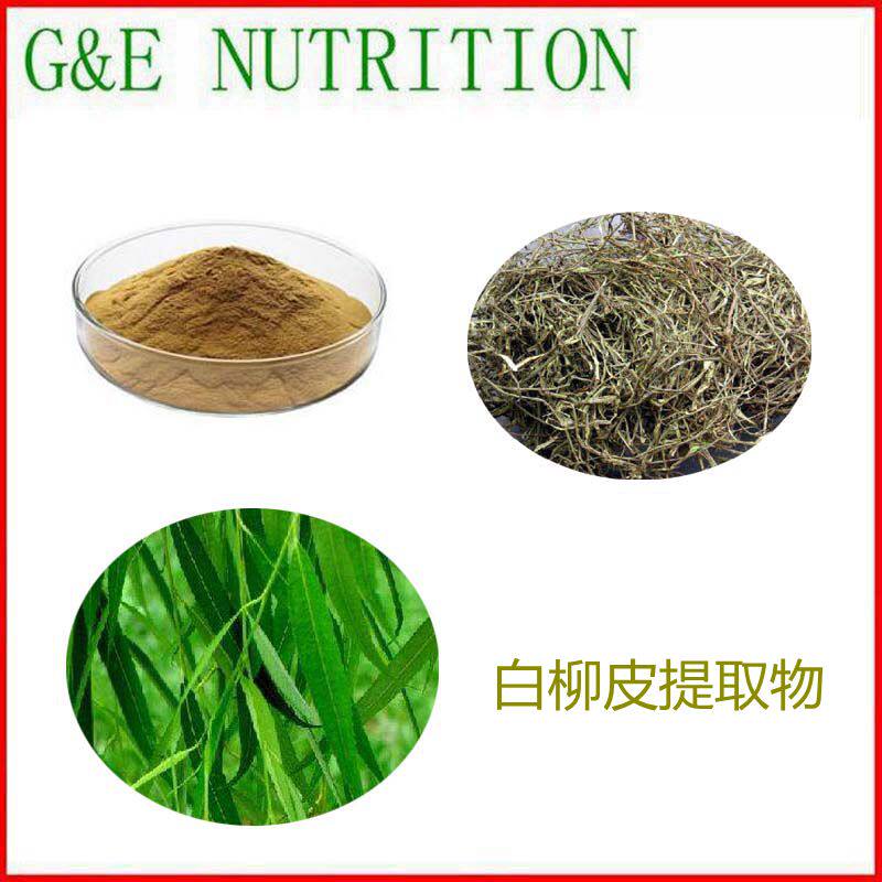 500g 纯天然 白柳皮提取物 白柳树皮 植物浓缩粉 10:1 包邮
