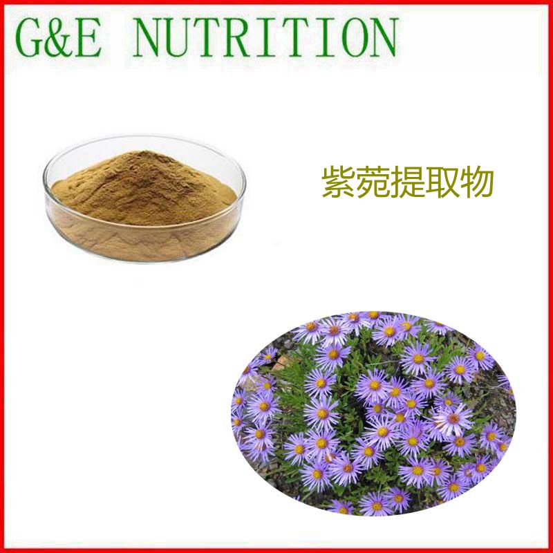 500g 纯天然 紫苑提取物 10:1 植物浓缩粉 包邮