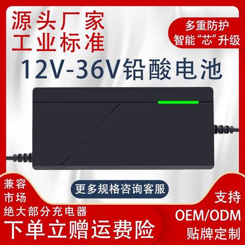 铅酸蓄电池电摩适用超威天能电池12V24V36V充电器充满自停防反接
