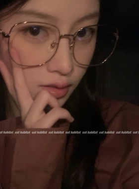 复古金边细框眼镜女小红书安利网红明星同款显脸小平光镜可配近视