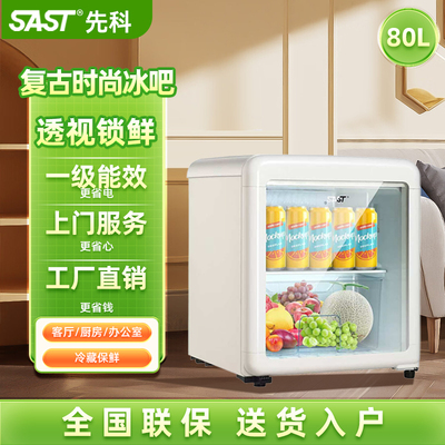 SAST先科复古冰吧冷冻冷藏柜家用客厅酒店小型冰箱饮料展示保鲜柜