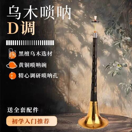 专业演奏考级初学者入门唢呐乐器