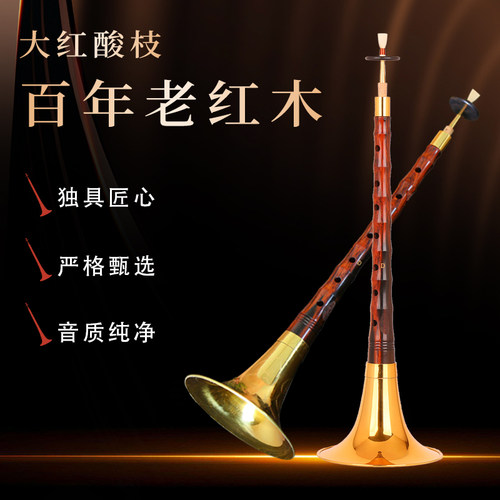 宏艺凤鸣大红酸枝黑飘红唢呐全套乐器专业百年老红木乐器老挝D调 - 封面