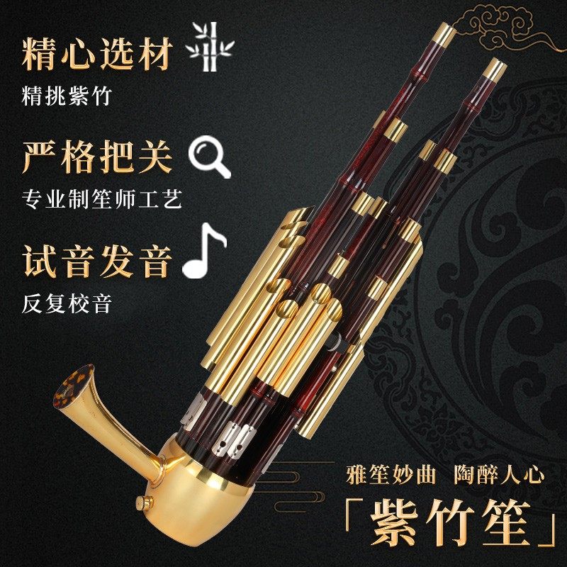 宏艺凤鸣笙乐器14簧17簧21簧初学专业扩音紫竹圆方笙厂家直销演奏