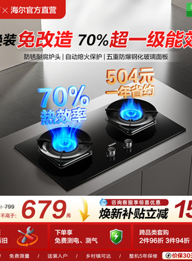 [旗舰顶配]海尔超密猛火燃气灶厨房家用台式嵌入双灶台灶具H70A
