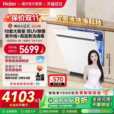 [水精灵]海尔小红花W5000Plus双面洗18套嵌入式洗碗机家用