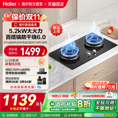 海尔麦浪QGBE2天然气液化气煤气灶家用厨房防干烧双灶猛火燃气灶