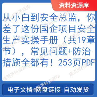 国企项目安全生产实操手册共19章253页PDF中建资料安全总监必备