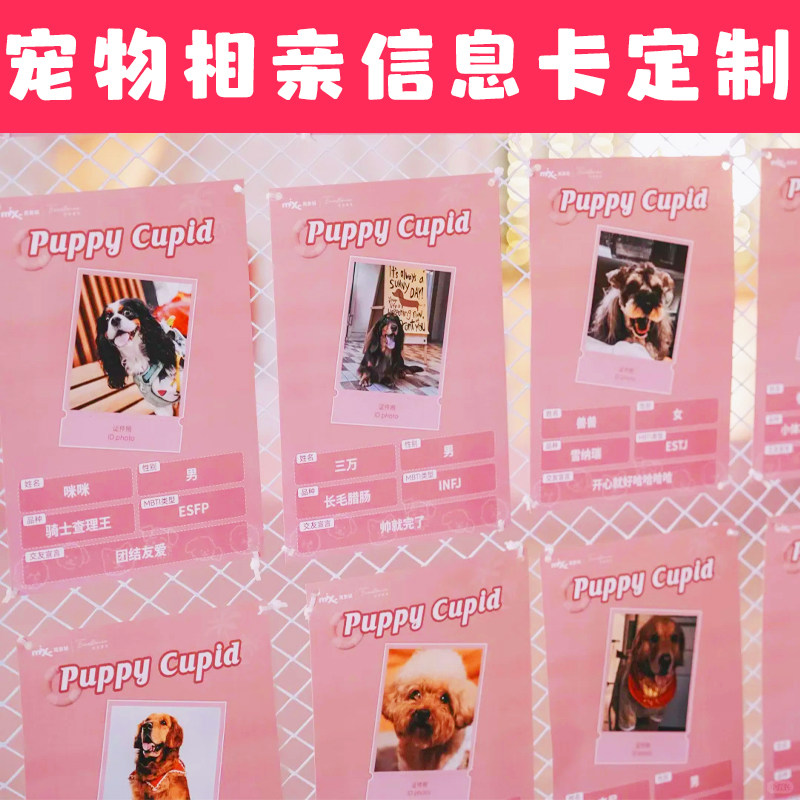 宠物相亲信息卡定制猫猫狗狗介绍卡名片设计萌宠交友说明卡定做