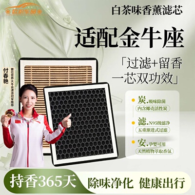 【福特金牛座】香薰型空调滤芯