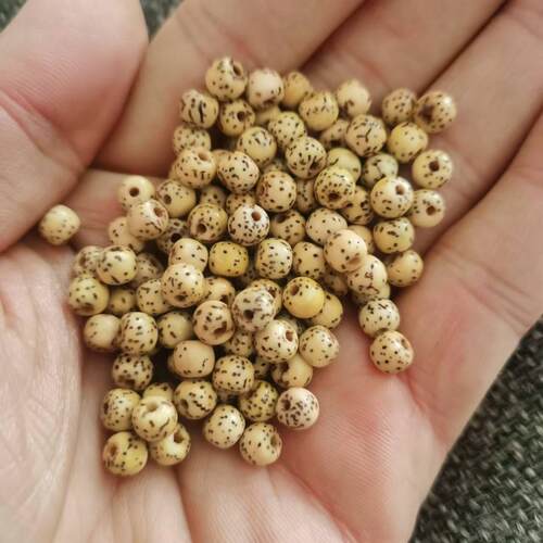 星月菩提通孔葫芦手工珠子