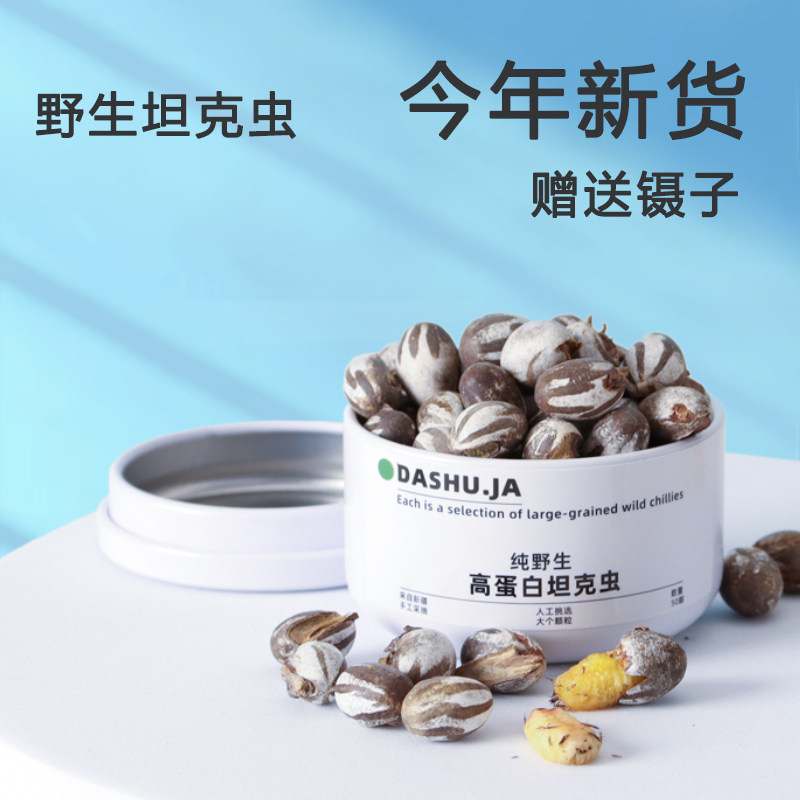 蜜袋鼯仓鼠粮食零食坦克虫洋辣子花枝鼠活虫金丝熊杨拉罐食用钓鱼