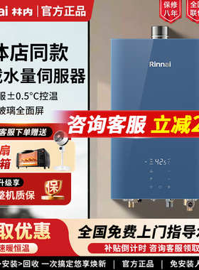 Rinnai/林内 RUS-16E65G-GL恒温APP控制E65强排式16升燃气热水器