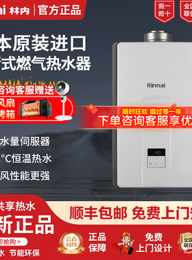 Rinnai/林内 REU-VC2024FF(K)-CH/VC2426FF进口平衡式燃气热水器