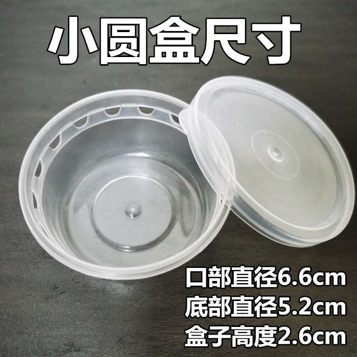 带孔透气小乌龟盒200个