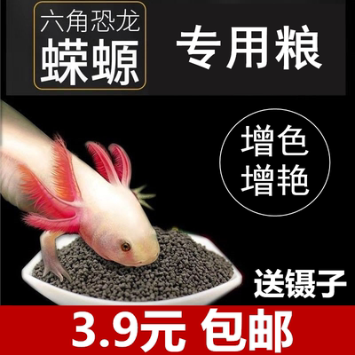 六角恐龙专用饲料3.9元包邮