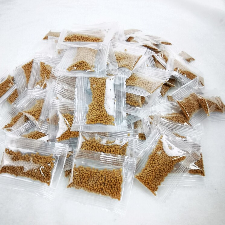 散装小包高钙龟粮500包
