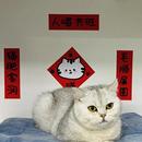 饰卡通插画猫窝创意过年贴纸对联大门 原创新年猫猫春联可爱房间装