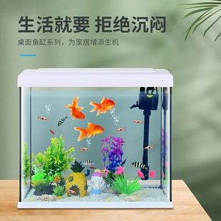 金鱼缸客厅2025新款免打理生态家用客厅小型过滤制氧一体机玻璃缸