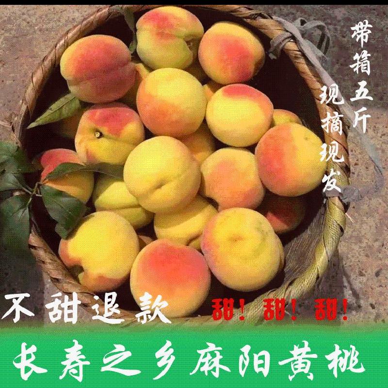 假一赔三湖南麻阳新鲜现摘脆甜炎陵水蜜桃