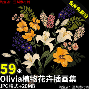 Olivia植物花卉花朵叶子卡通零基础插画画集电子版 图片临摹素材