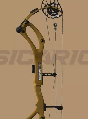 PSE 2026年新款碳弓 碳复合弓边境杀手户外碳复合弓 复合弓猎弓