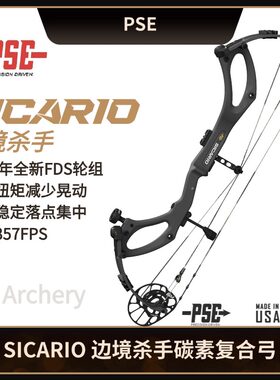 PSESicario边境杀手复合弓碳弓
