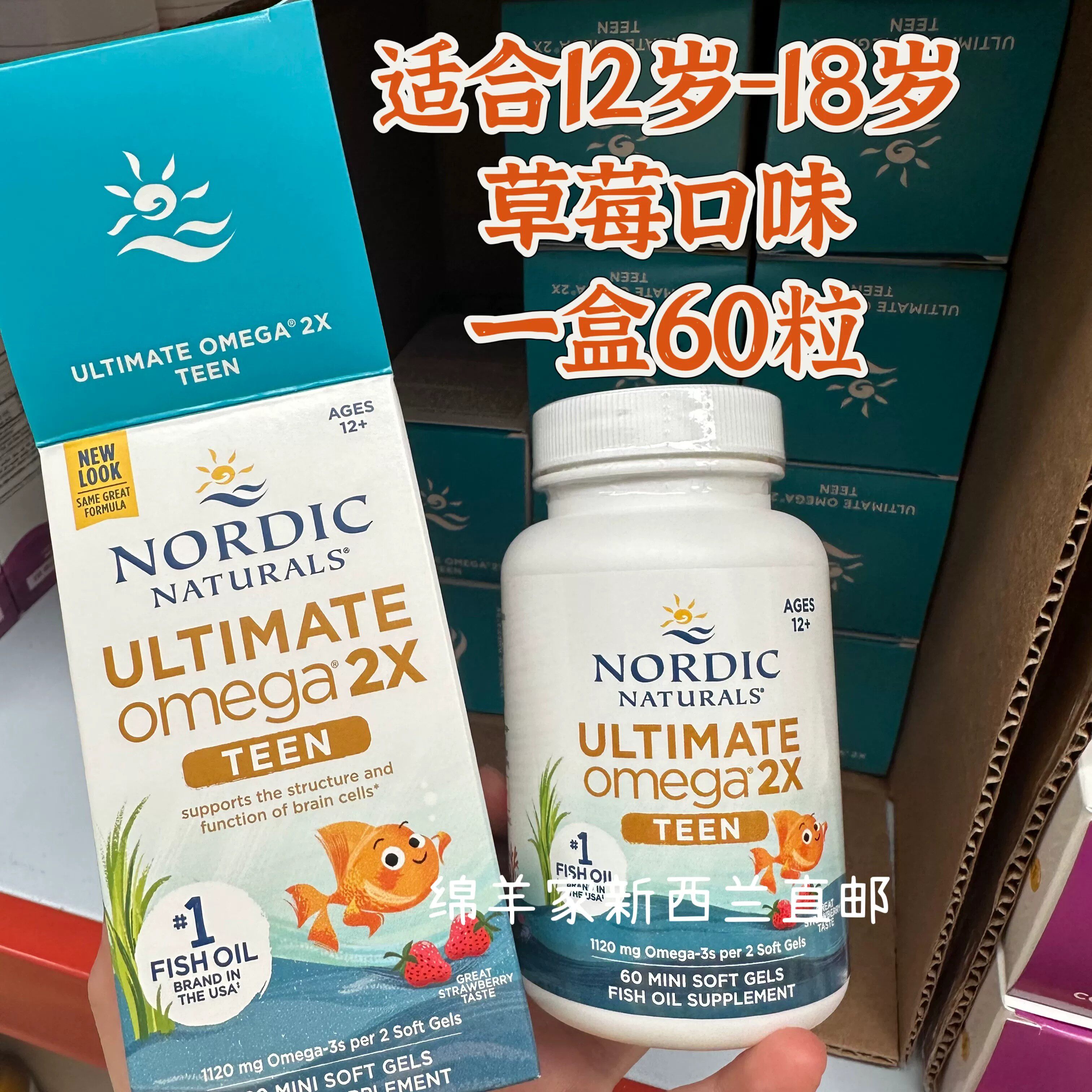 新西兰直邮鱼油DHA儿童青少年成人EPA挪威小鱼Nordic Naturals