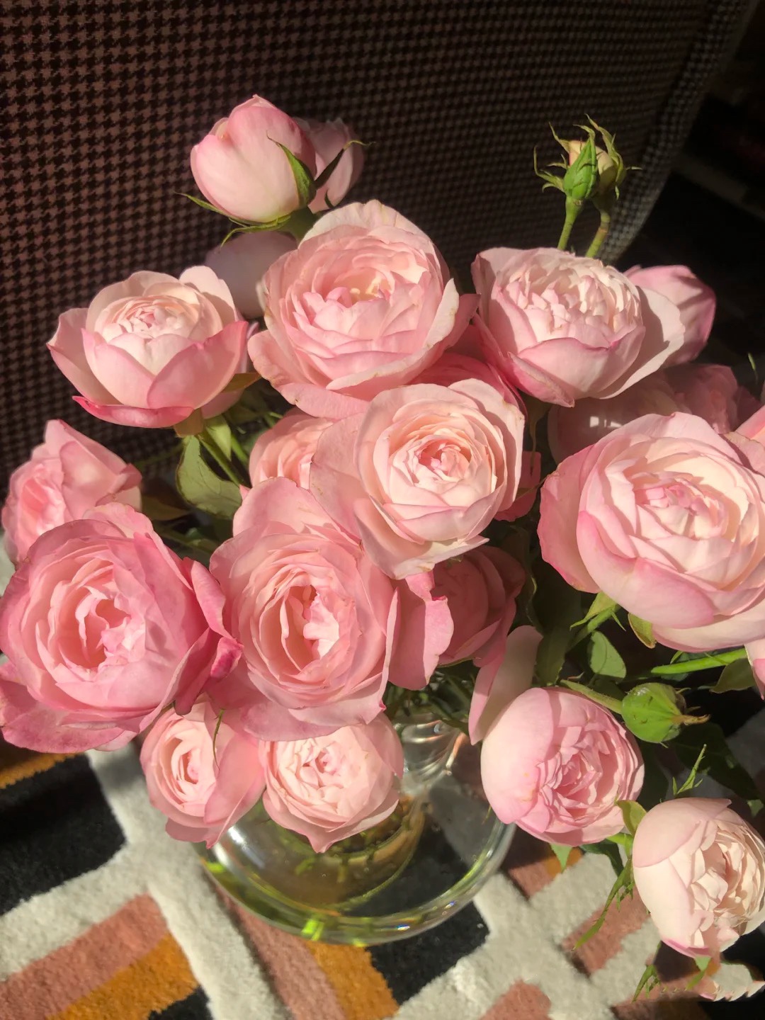 草莓杏仁饼日本庭院植物花卉开放