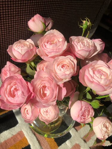 草莓杏仁饼日本庭院植物花卉开放