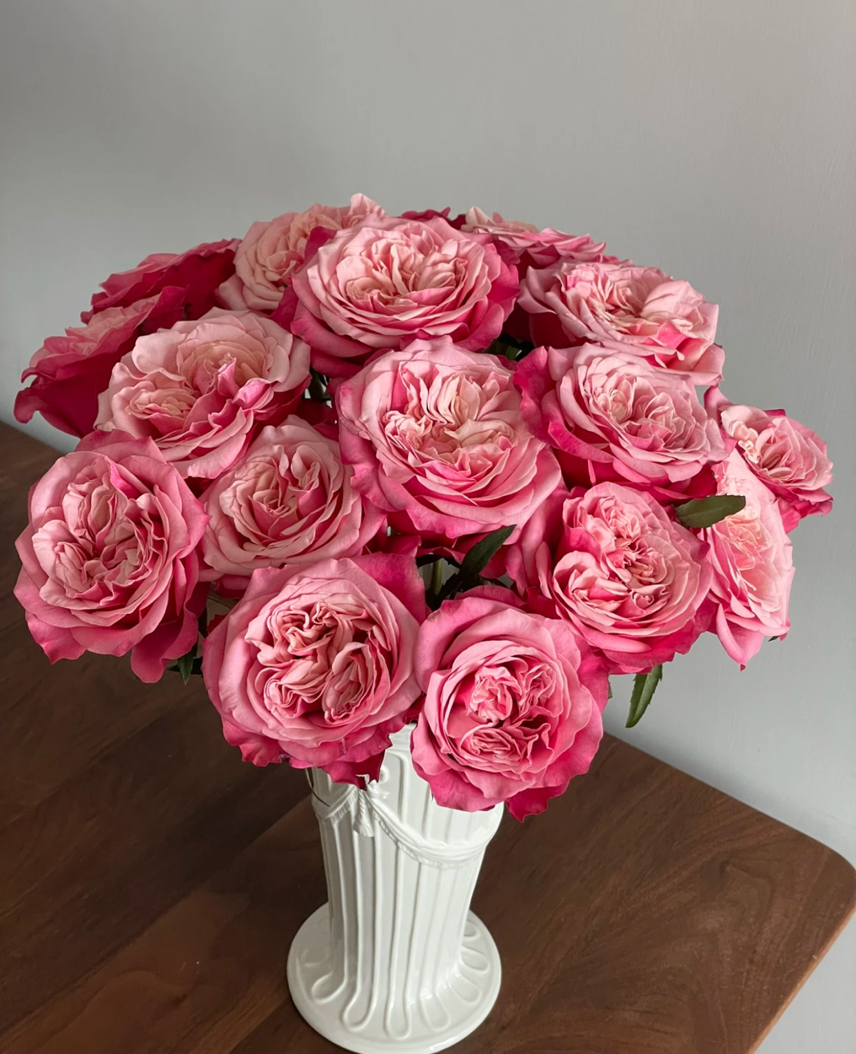 闺蜜小苗 超新品切花月季灌木 直立多季勤花丰花抗病好养玫瑰花苗,鲜花速递/花卉仿真/绿植园艺,月季/蔷薇/玫瑰,淘宝优惠券,粉丝福利购,淘宝优惠卷