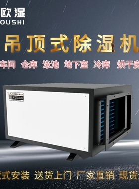 欧湿吊顶除湿机大功率壁挂式地下抽湿机室车间仓库泳池商用工业
