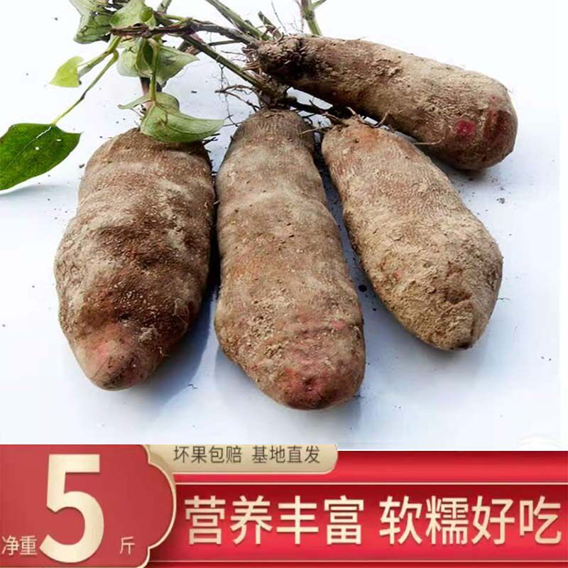 新鲜山药农家特产紫色白心大薯紫淮山现挖怀山5斤包邮非铁棍山干