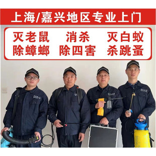上海除虫公司专业上门除虫服务灭蟑螂除白蚁药防治灭四害消杀跳蚤