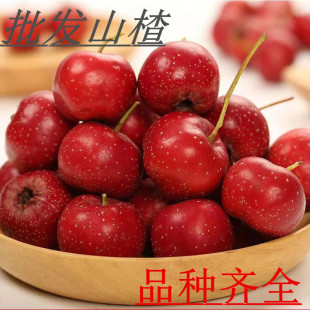 新鲜山楂果山东新泰甜红子红心小山楂炒雪球可糖球专用果40斤整箱