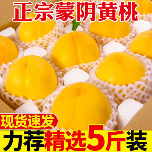 脆甜放软爆汁山东蒙阴黄毛桃