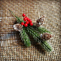 3 относится к фенсонге