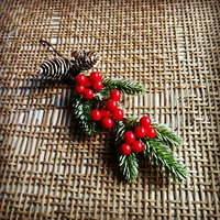 Высокий кедр