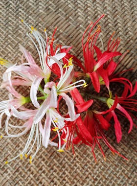 花海大世家假花彼岸花绢花仿真花