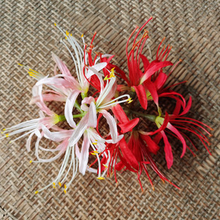 夸张头饰配件 彼岸花 假花曼陀罗曼珠沙华 花海大世界仿真花绢花