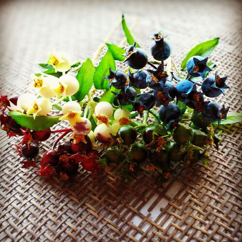 花海大世界仿真花浆果石榴红果