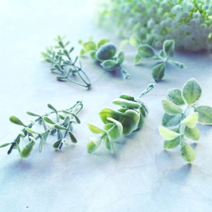 花海大世界植绒绿植白霜仿真花
